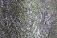 Plaish fibreglass roof work